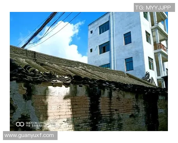 弗格的传奇人生与时代变迁的交织探讨 弗格的传奇人生与时代变迁的交织探讨