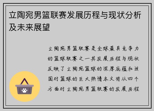立陶宛男篮联赛发展历程与现状分析及未来展望