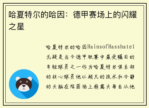 哈夏特尔的哈因：德甲赛场上的闪耀之星